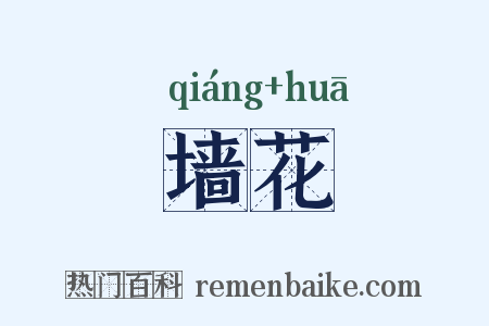 墙花是什么意思的图片